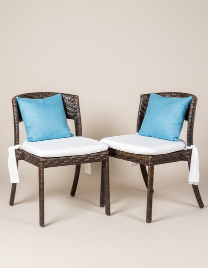Pair of garden chairs with cushions