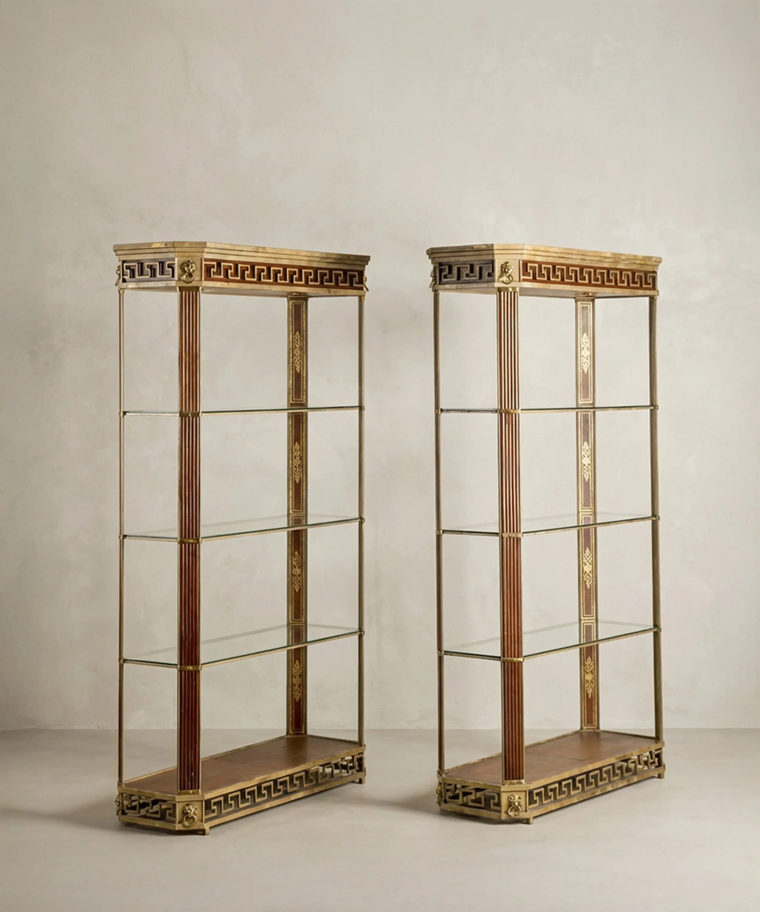 Vista lateral de estantería monumental abierta de metal y cristal de estilo neoclásico.